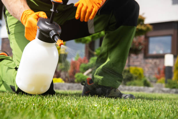 Best Emergency Pest Control  in Statham, GA
