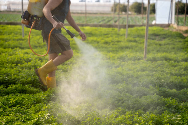 Best Local Pest Control Services  in Statham, GA