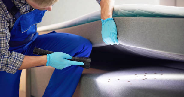 Best Mosquito Control Services  in Statham, GA