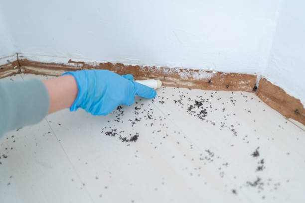 Best Residential Pest Control  in Statham, GA